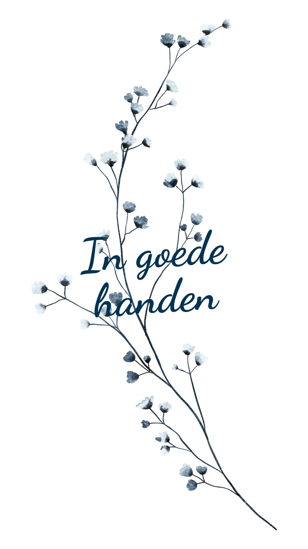 Privacy in goede handen 3