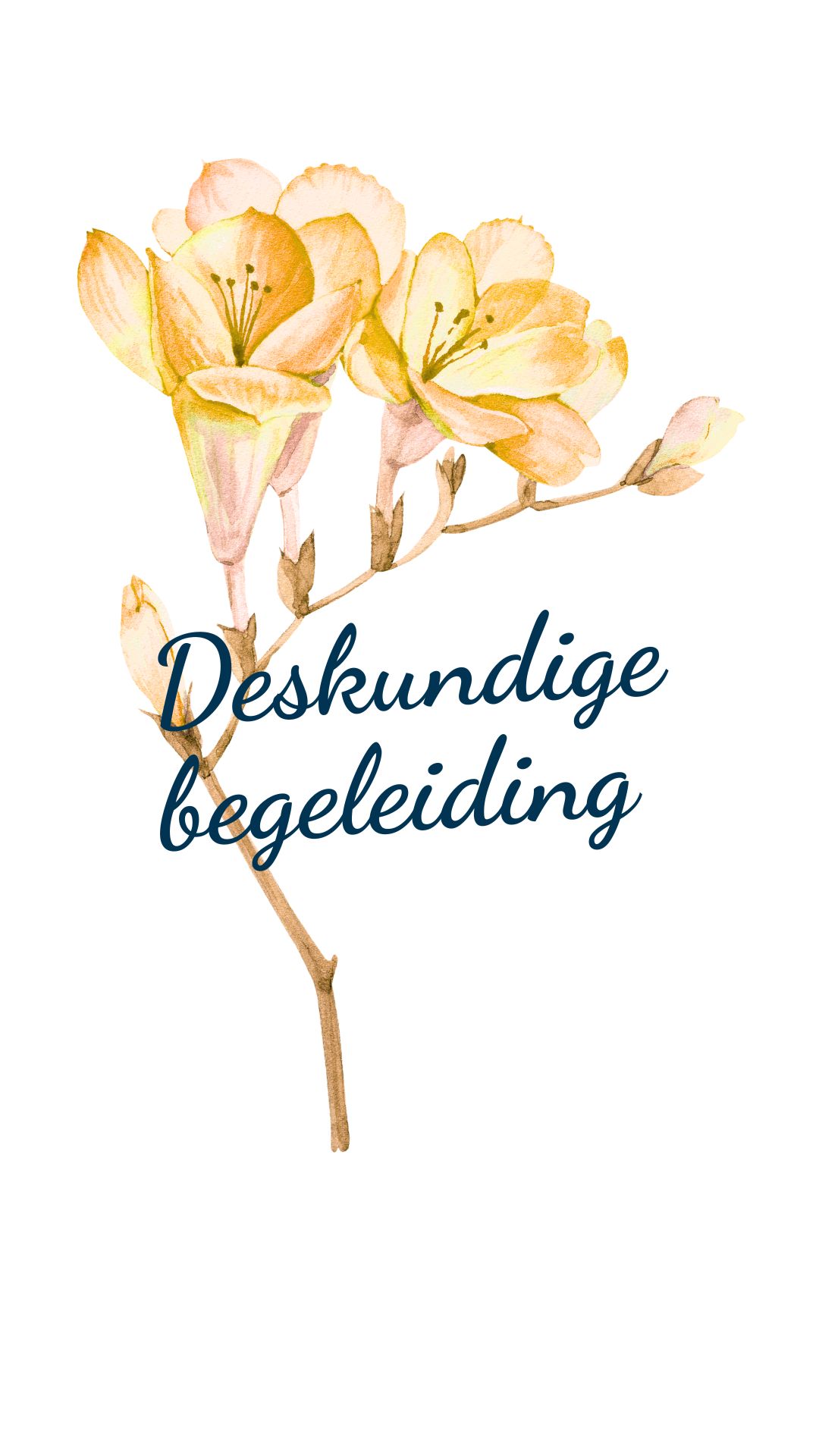 intervisionair leren deskundige begeleiding (1)