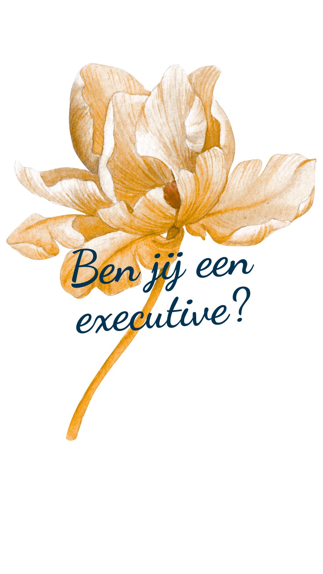 intervisionair leren voor managers leidinggevenden (2)